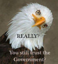 really you still trust the government